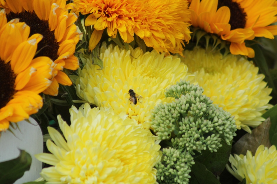 Житель Петербурга стал жертвой мошенников при заказе цветов через мессенджер