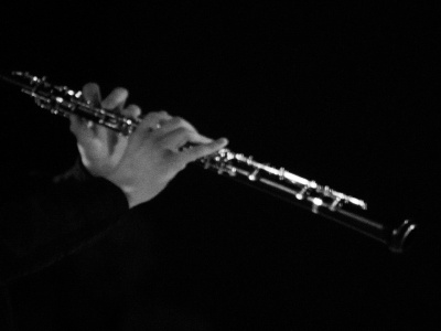 Фото Лаборатория описания слухового наблюдения: встреча после концерта