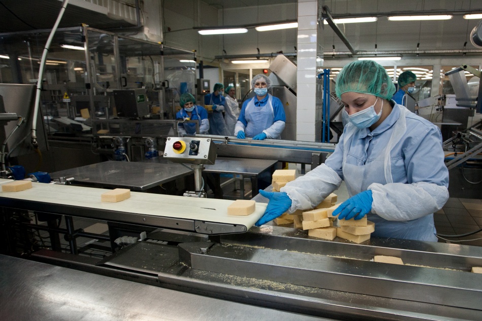 Роскачество выявило лидеров по фальсификации среди популярных продуктов в 2025 году
