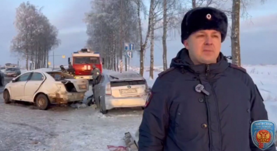 Пожилой водитель сбил пешехода насмерть на трассе в Ропше Ленобласти