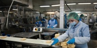 Роскачество выявило лидеров по фальсификации среди популярных продуктов в 2025 году