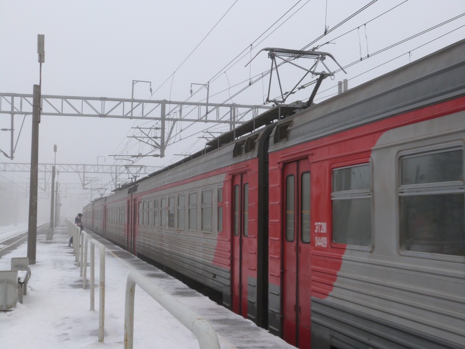 Петербуржца освободили от уголовной ответственности за сброшенную с обрыва кошку в Крыму