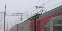 Петербуржца освободили от уголовной ответственности за сброшенную с обрыва кошку в Крыму