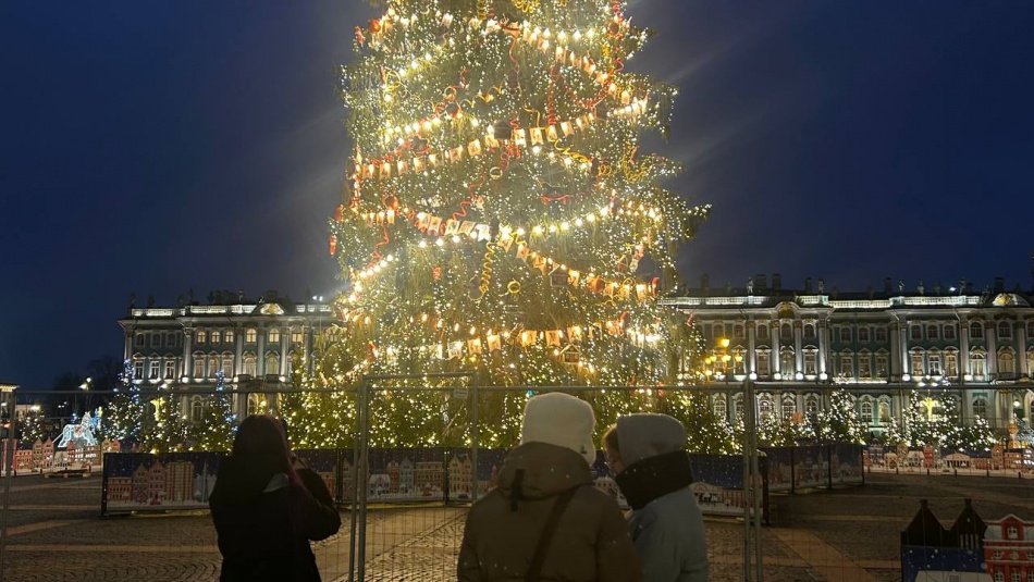 В Петербурге в новогоднюю ночь задержали свыше тысячи человек за нарушения