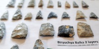 Археологи раскрыли тайны древней охоты