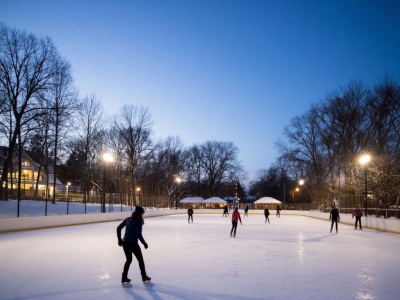 Фото Ледовый каток Зеркальный в Бокситогорске