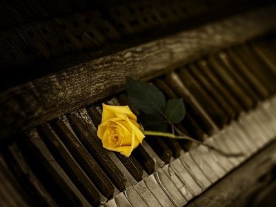 Фото Концерт Максима Стафеева Вдоль по Питерской