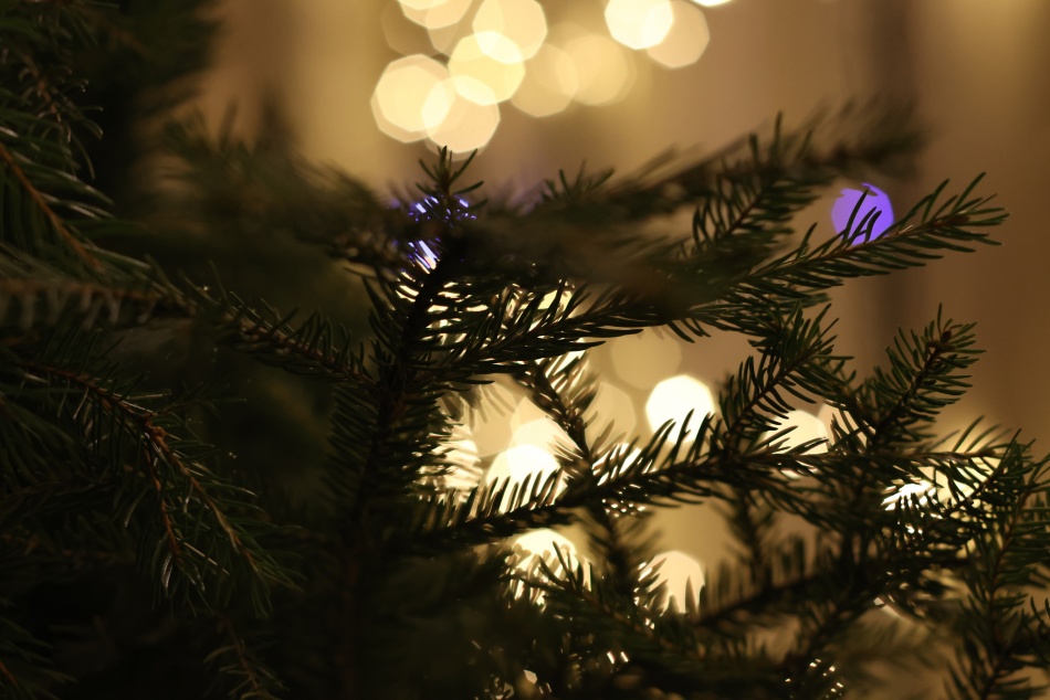 Врач объяснила, почему новогодние елки опасны для аллергиков в квартирах