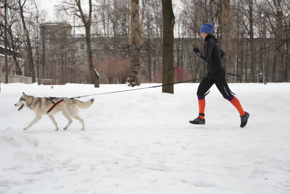 Частная компания оспаривает условия конкурсов на уборку парков Петербурга