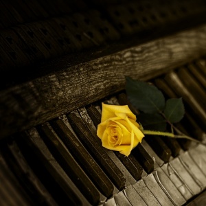 Концерт Максима Стафеева "Вдоль по Питерской"