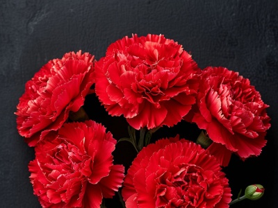 Фото Мероприятие Вечен огонь нашей Памяти