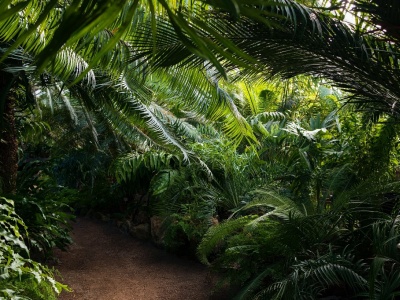 Фото Патриотическая прогулка Блокадная повесть Ботанического сада