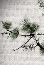 Пять женщин, предавшихся любви