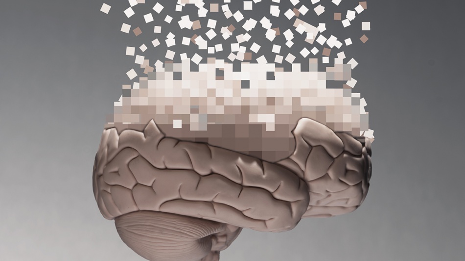 Масштабное исследование мозга раскрывает, почему память ухудшается с возрастом