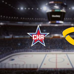 Хоккейный матч "СКА - Северсталь"