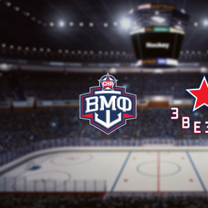 Хоккейный матч "СКА-ВМФ - Звезда"