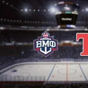 Хоккейный матч "СКА-ВМФ - Торпедо-Горький"