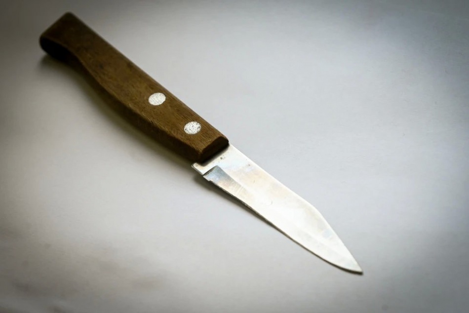 Во Всеволожске женщина подозревается в смертельном конфликте с сожителем