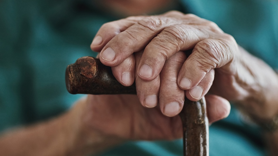 Генетика влияет на продолжительность жизни сильнее, чем считалось ранее