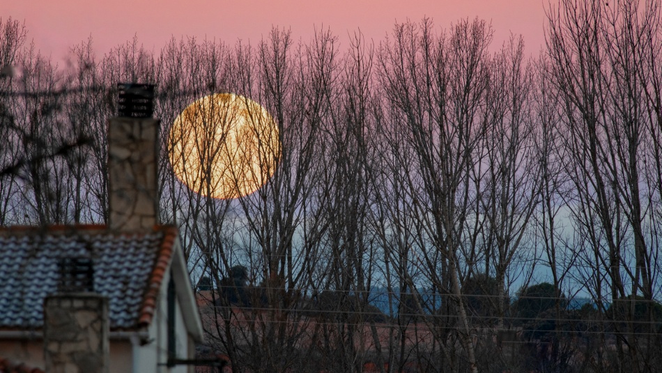 Где искать лунное затмение 3 марта 2026 года в вашем городе