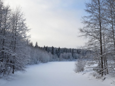 Фото Триатлон на Кубок Губернатора Санкт-Петербурга на дистанцию Суперспринт 1 этап