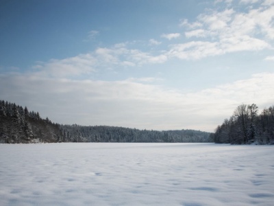 Фото Новогодний марафон к Году Козы 2027