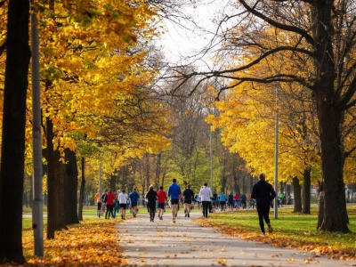 Фото Легкоатлетический пробег на Кубок Губернатора Санкт-Петербурга, 4 этап
