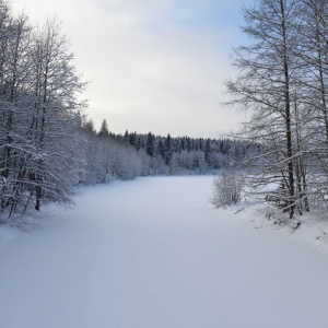 Триатлон на Кубок Губернатора Санкт-Петербурга на дистанцию "Суперспринт" 1 этап