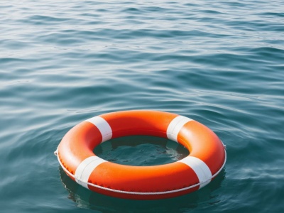 Фото Восточный кроншпиц