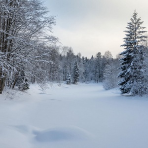 Выставка "Усадебная лирика"