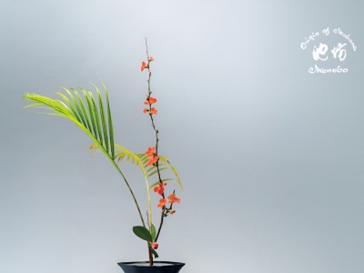 Фото Выставка работ икэбана школы Икэнобо