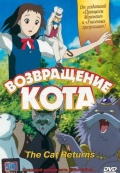 Возвращение кота