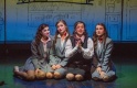 Фото Ужасы в цветочном магазине