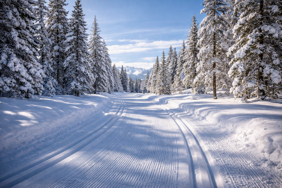 В Петербурге прошла 44-я массовая лыжная гонка Лыжня России