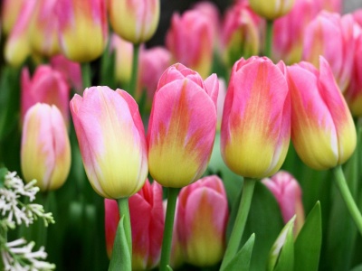 Фото Фестиваль Оттепель чувств Фото Фестиваль Оттепель чувств