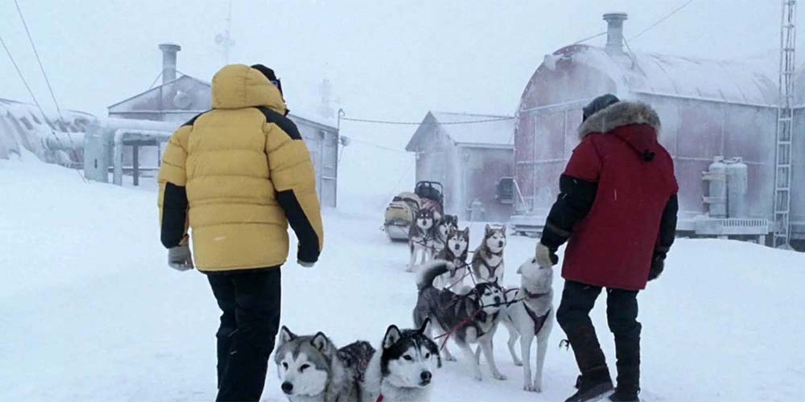 Кадр из фильма &laquo;Белый плен&raquo;