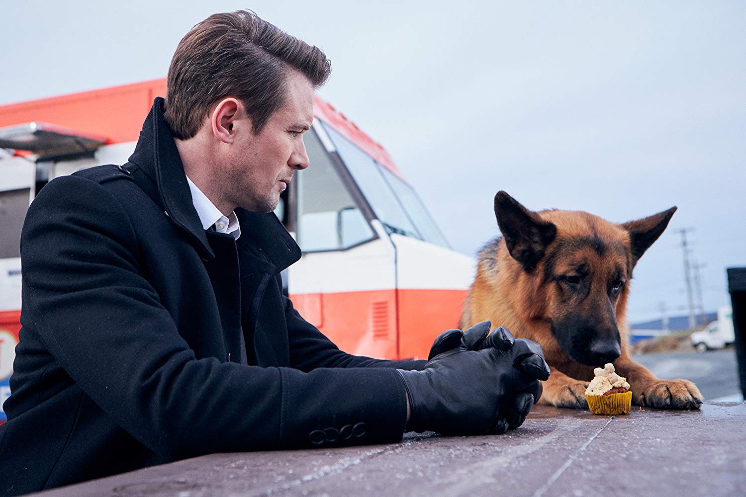 Сериал «Хадсон и Рекс» Кадр из сериала «Хадсон и Рекс»