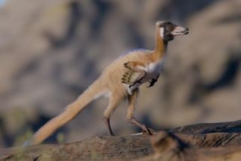 В Аргентине найден миниатюрный динозавр возрастом 90 миллионов лет