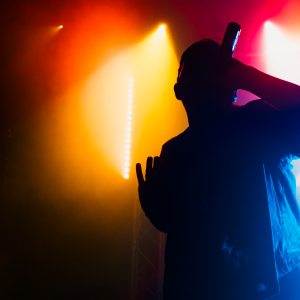 Фестиваль "Мягкие ткани"