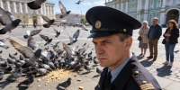 В Петербурге обсуждают запрет на кормление голубей из-за угрозы болезней