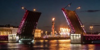 Три моста Петербурга засияют краповым и белым к юбилею Росгвардии