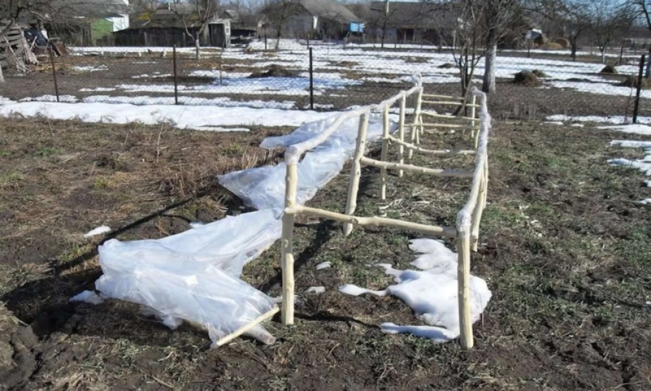 Весенние ошибки в саду: как не испортить урожай в апреле