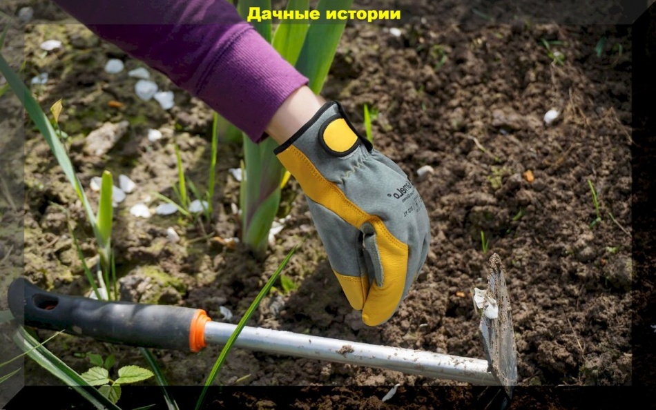 Апрельские хлопоты на даче: что важно успеть сделать