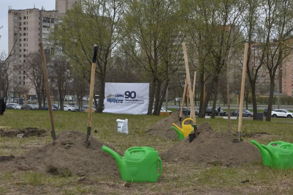 В Федоровском сквере появилась новая аллея каштанов к юбилею троллейбуса