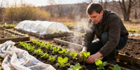 Что сажают на даче в конце апреля: список для открытого грунта и теплицы