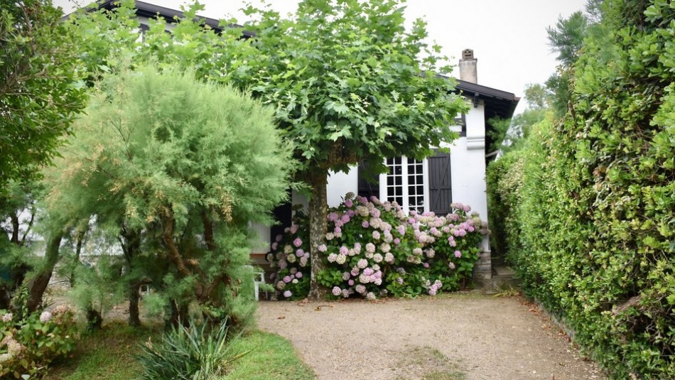 Какие растения на даче могут привести к штрафу или уголовному делу