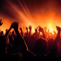 Tribute City Fest
