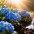 Как лимонная кислота меняет цвет гортензий: неожиданный эффект