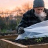 Когда в 2026 году высаживать рассаду томатов, огурцов и перцев