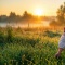 Какие народные приметы и запреты связаны с 7 мая